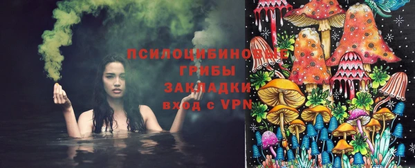 кристаллы Дмитриев