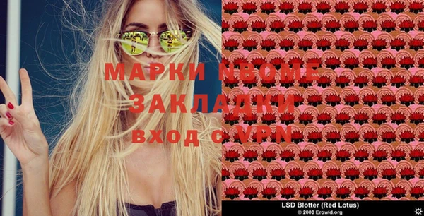 крисы Куйбышев