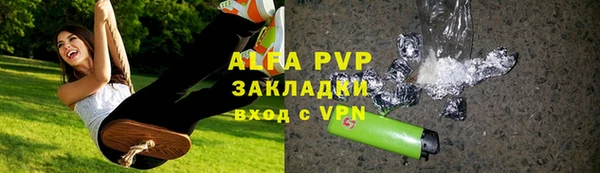 прущие грибы Дмитров