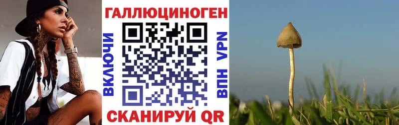 KRAKEN ONION  Воскресенск  Псилоцибиновые грибы мухоморы 