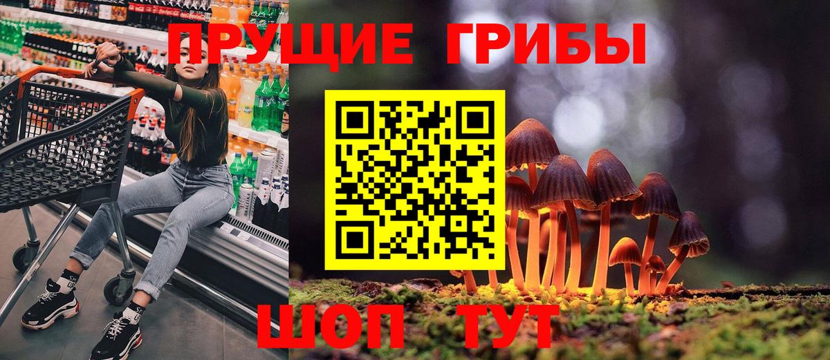 Воскресенск  Псилоцибиновые грибы Cubensis  Вход с VPN 