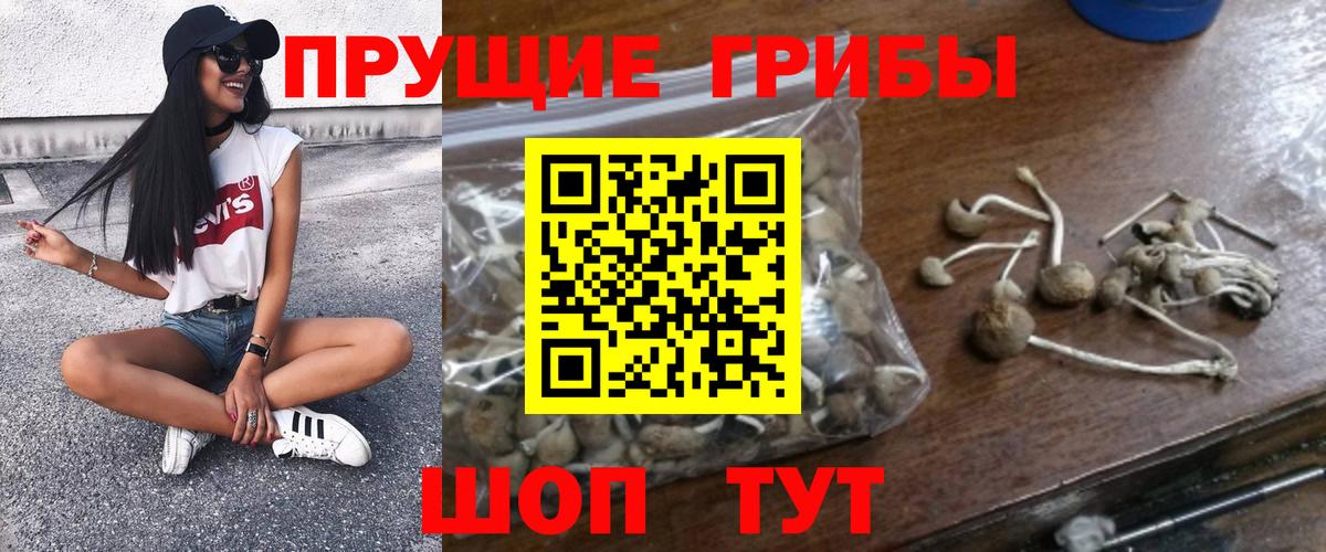 Галлюциногенные грибы мицелий Воскресенск
